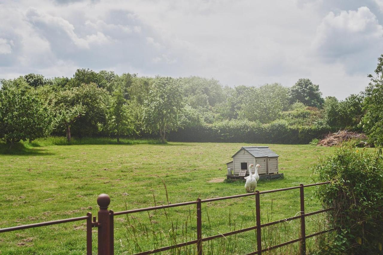 Apple Tree Cottage Beckford 外观 照片