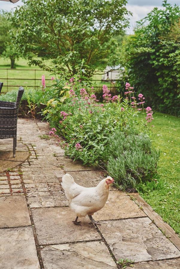 Apple Tree Cottage Beckford 外观 照片